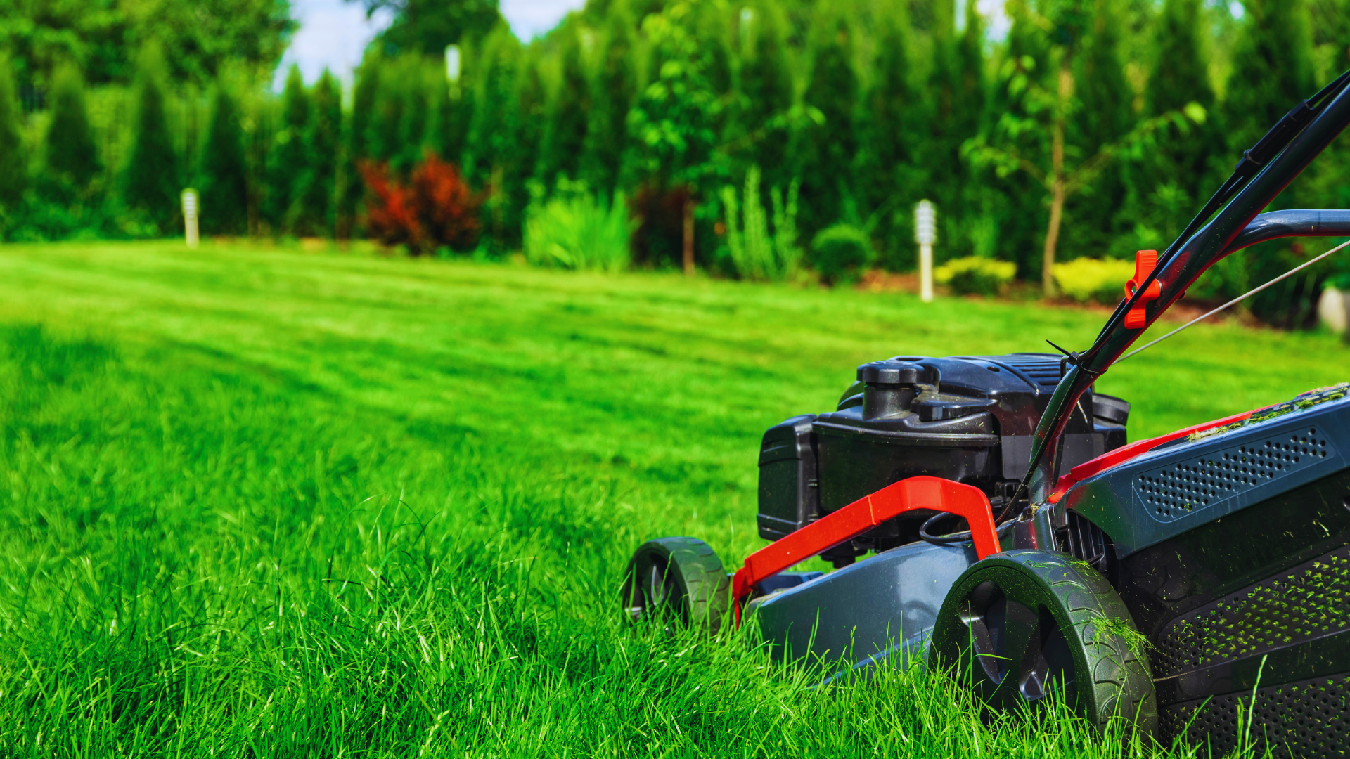 Lawn Care Tips: Essential Practices for a Healthy Lawn